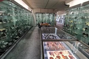 Stichting Gelders Geologisch Museum image