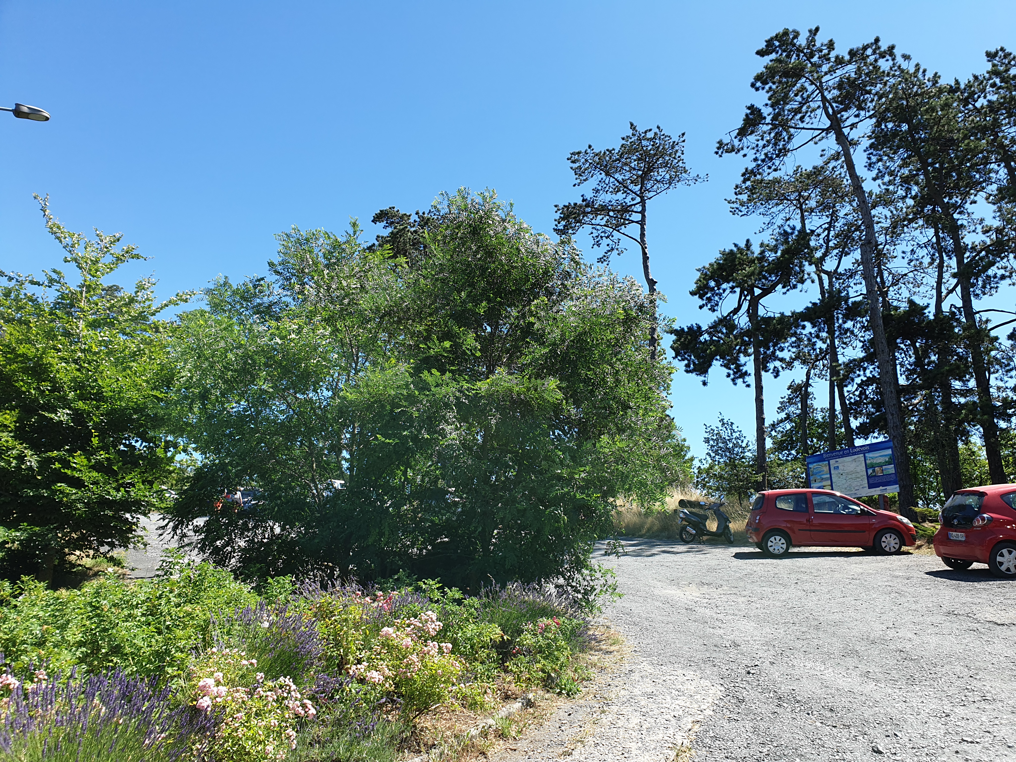 Photo n° 4 de l'avis de Lily.� fait le 19/07/2020 à 11:50