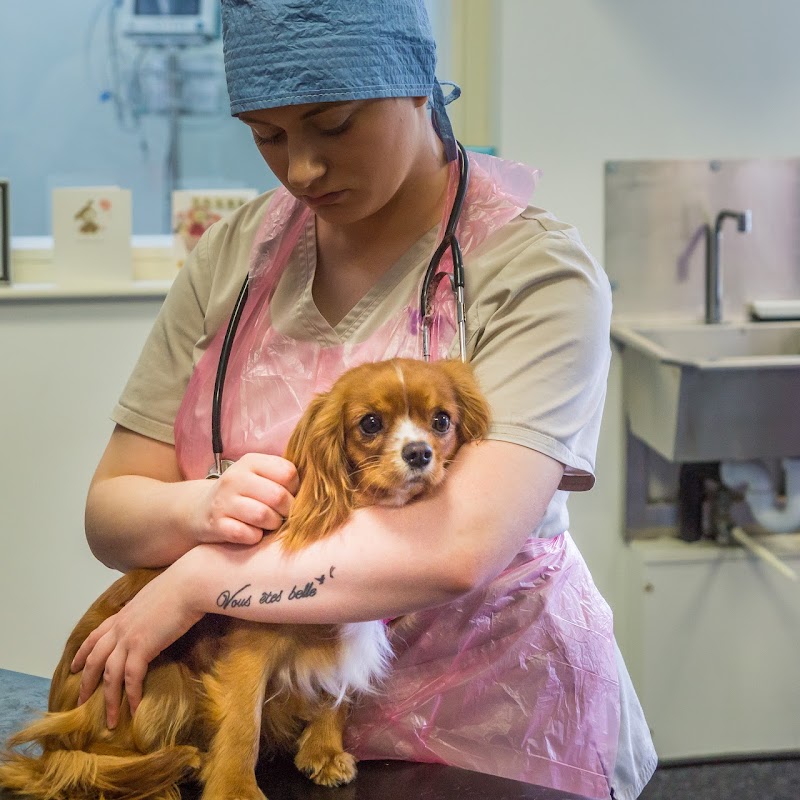 All Creatures Veterinary Clinic - Limavady