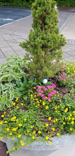 Nature Preserve «Fernbank Forest», reviews and photos, 767 Clifton Rd, Atlanta, GA 30307, USA