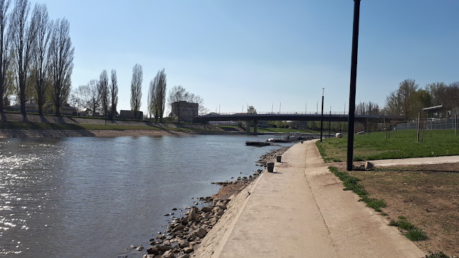 Értékelések erről a helyről: Bridge Hallgatói és Oktatói Klub, Győr - Szórakozóhely