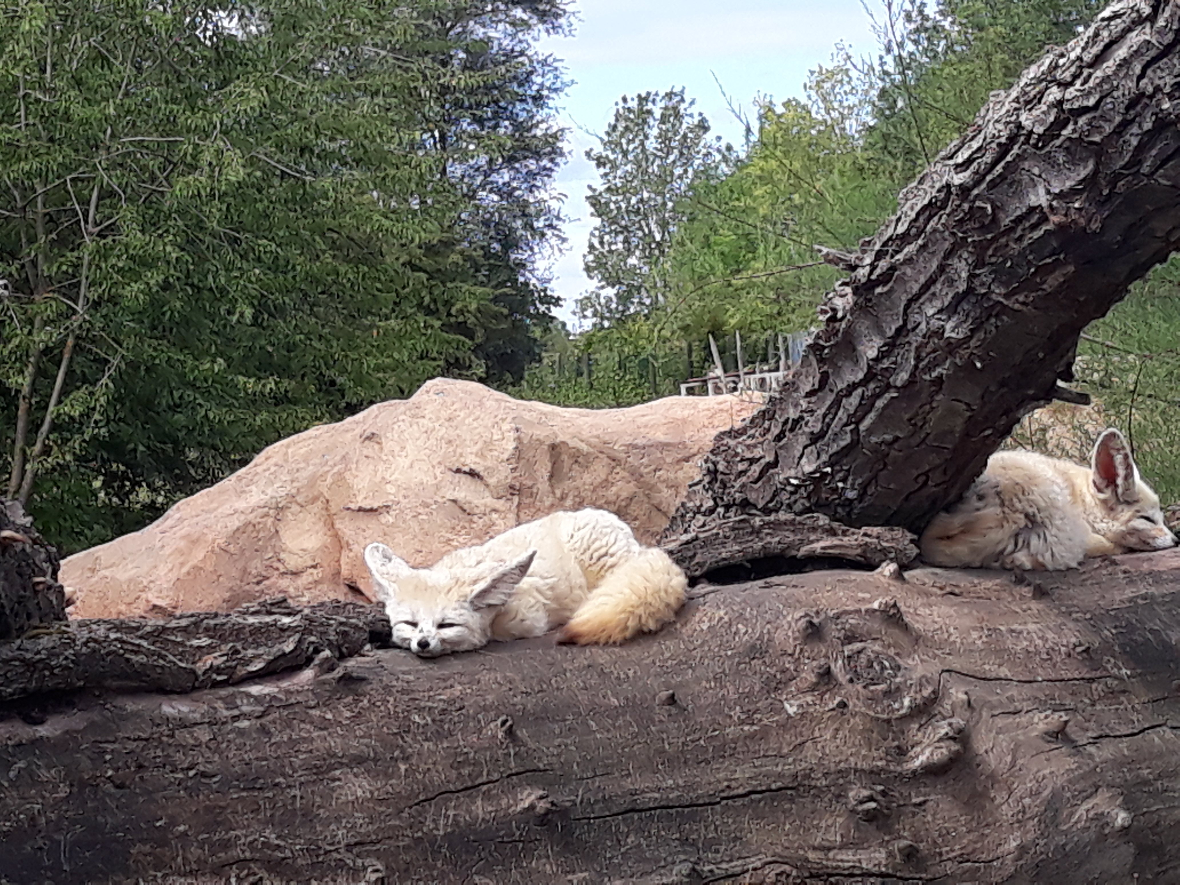 Photo n° 34 de l'avis de Estelle.o fait le 09/08/2018 à 10:25
