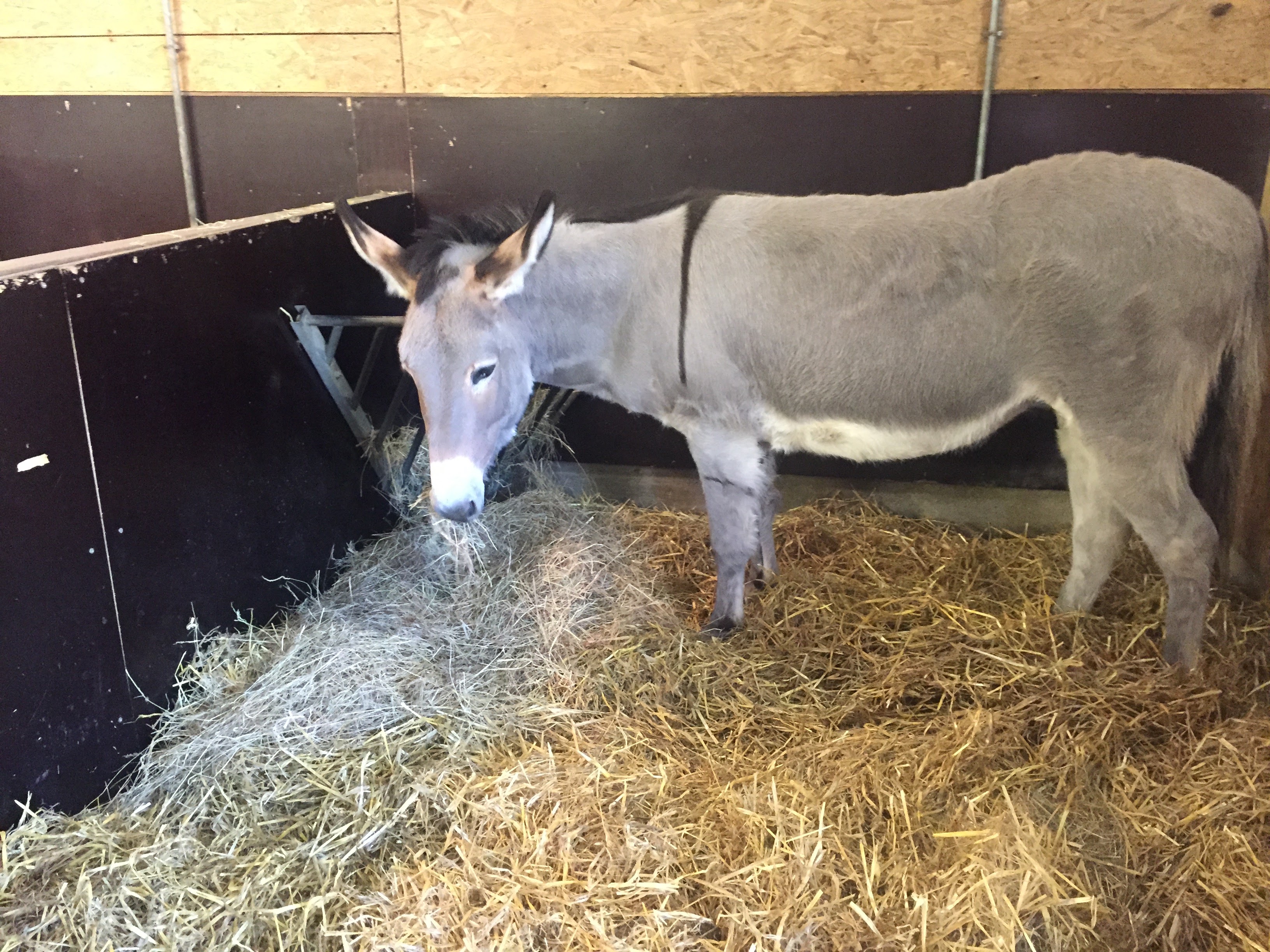 Photo n° 15 de l'avis de lou.o fait le 21/04/2018 à 14:21