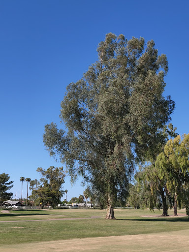 Golf Course «Grand Canyon University Golf Course», reviews and photos, 5902 W Indian School Rd, Phoenix, AZ 85033, USA