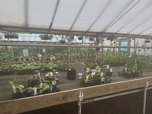 Florist «Little Brook Orchids», reviews and photos, 25 Rider Ave, Lancaster, PA 17603, USA