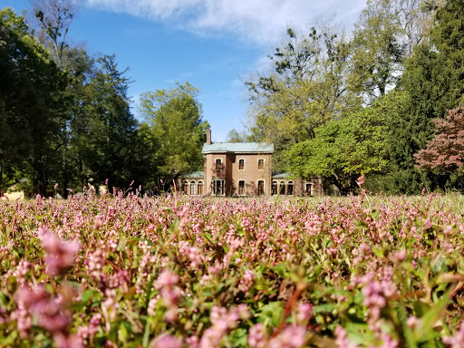 Museum «Ashland - The Henry Clay Estate», reviews and photos, 120 Sycamore Rd, Lexington, KY 40502, USA