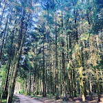 Photo n°2 de l'avis de Antonella.o fait le 15/09/2020 à 10:11 sur le  Zur Scheunenwirtin -- Renate Lieb & Günther Saiger GbR à Bartholomä