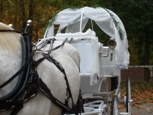 Museum «Audubon Museum & Nature Center», reviews and photos, 3100 US-41, Henderson, KY 42420, USA