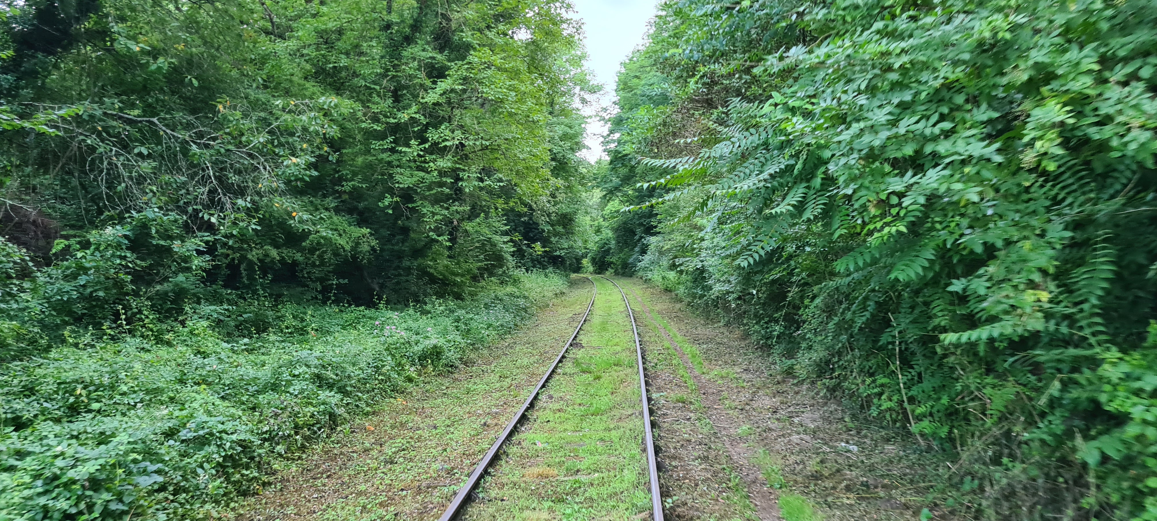 Photo n° 3 de l'avis de Jean-Charles.o fait le 03/08/2021 à 03:44