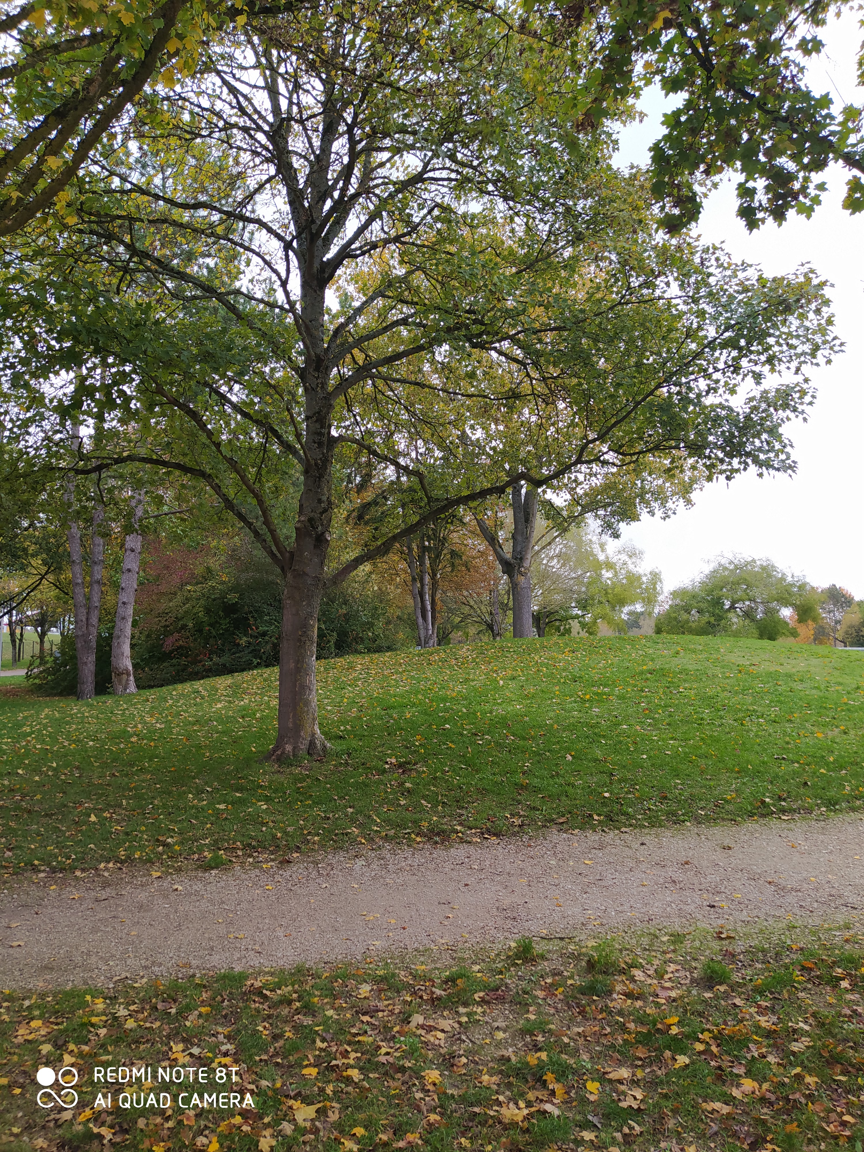 Photo n° 9 de l'avis de Aurélie.a fait le 31/10/2020 à 15:54