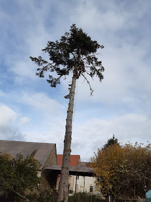 Arbortech à Crocq