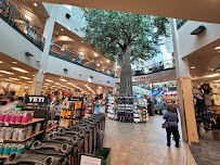 Scheels - Photo 6 - Car repair in Appleton, WI, Appleton