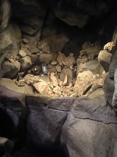 Art Museum «Newark Museum», reviews and photos, 49 Washington St, Newark, NJ 07102, USA