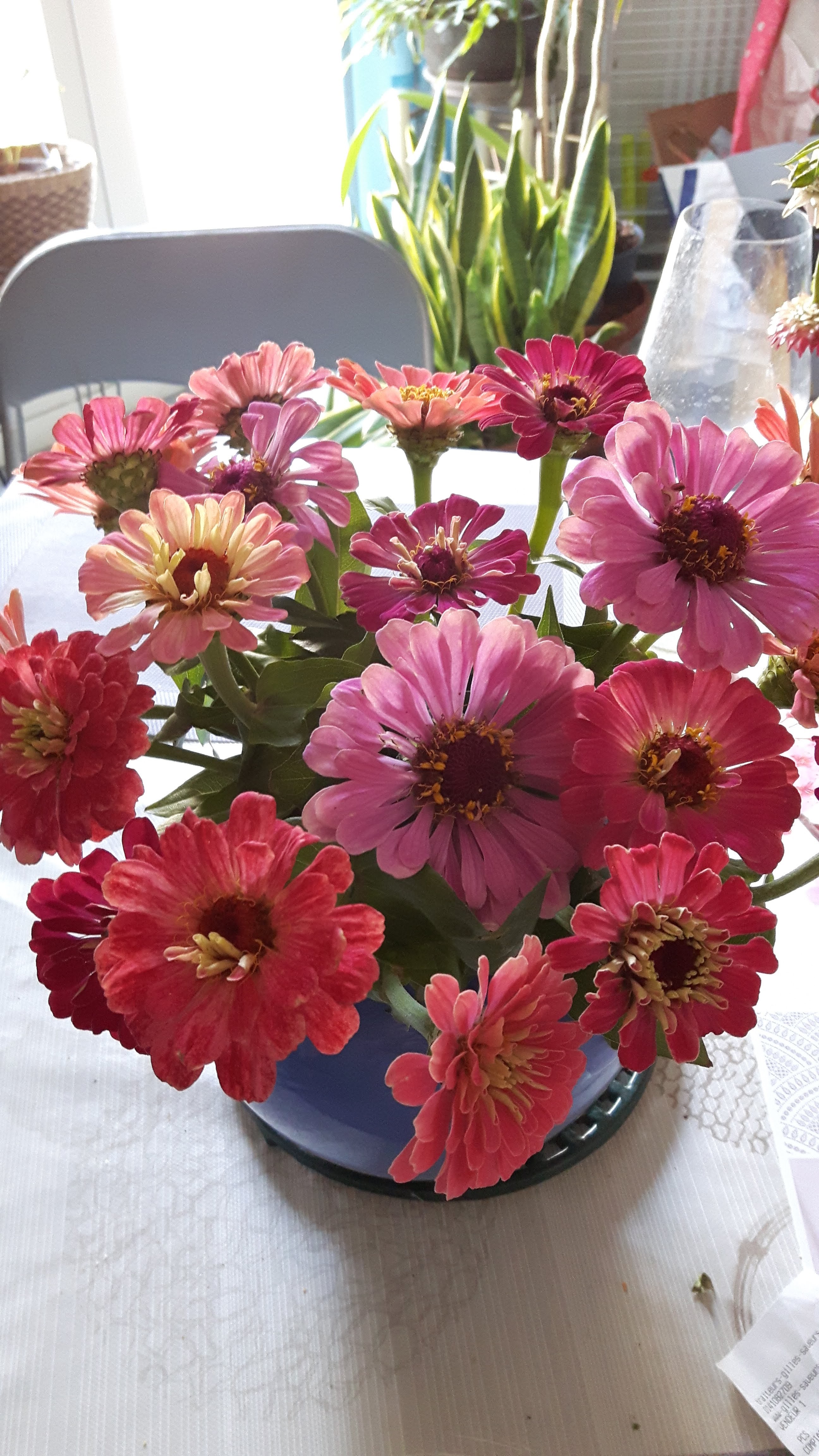 Photo n° 2 de l'avis de Delphes.a fait le 13/10/2020 à 09:41