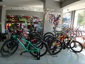 Bike Chile - Specialized