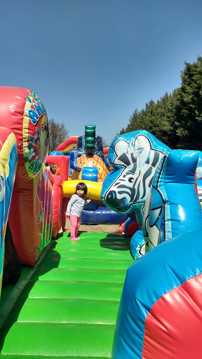 Childrens Farm «Best Long Island Pumpkin Picking», reviews and photos, 250 Old Country Rd, Melville, NY 11747, USA