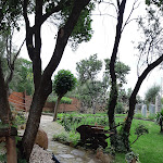 Photo n°10 de l'avis de Brezza.6 fait le 05/06/2023 à 09:07 sur le  Su Meriacru | Cucina Identitaria à Siniscola