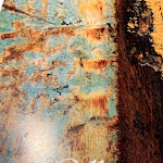 Photo n°4 de l'avis de Andròs. fait le 22/02/2020 à 13:58 sur le  Donatelli 30-11 à San Giovanni Lupatoto