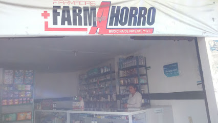 Farmahorro, , San Juan Totolac