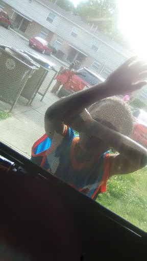 Pet Supply Store «Pet Valu», reviews and photos, 7750 Brandt Pike, Huber Heights, OH 45424, USA