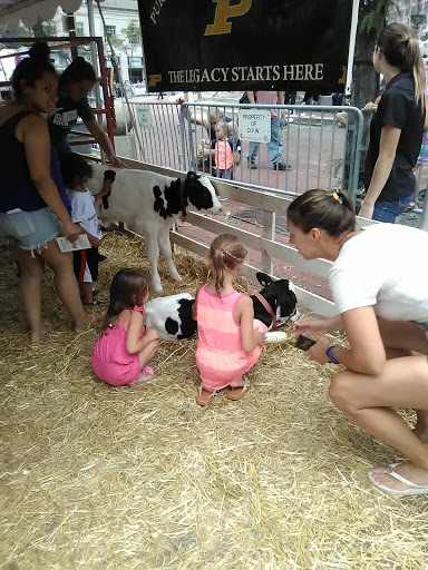 Concert Hall «Hilbert Circle Theatre», reviews and photos, 45 Monument Cir, Indianapolis, IN 46204, USA