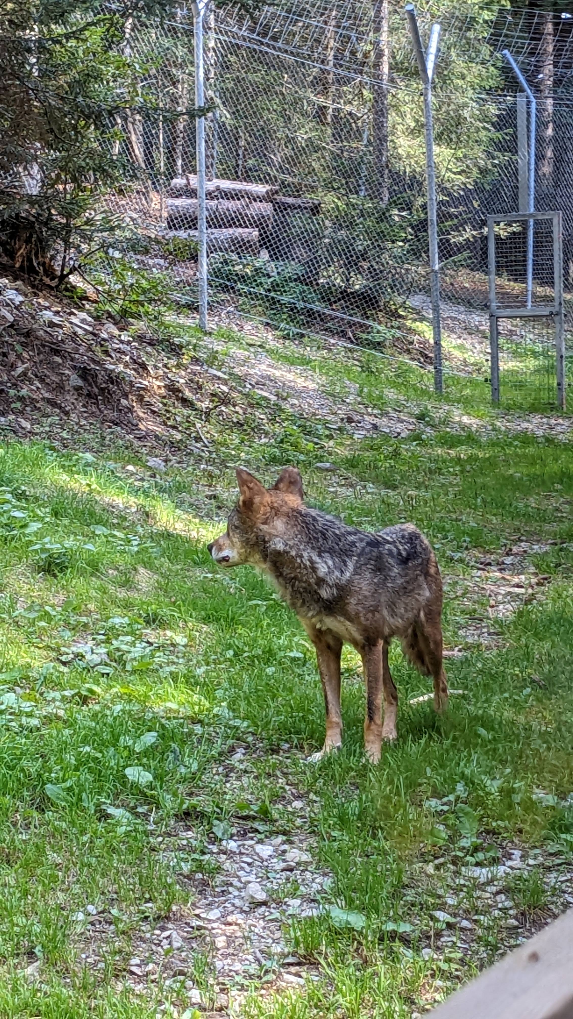Photo n° 32 de l'avis de Florian.o fait le 11/09/2022 à 15:52