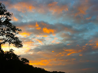 Pumpkin Hill Creek Preserve State Park