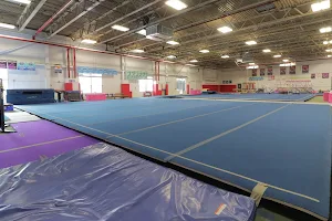 Gymnastics and Cheerleading Academy of CT (GCA) image