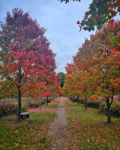 Tourist Attraction «Dover Stone Church», reviews and photos, 3128 NY-22, Dover Plains, NY 12522, USA