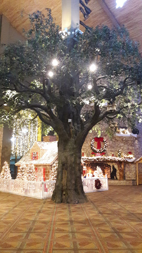 Resort «Great Wolf Lodge», reviews and photos, 100 Great Wolf Dr, Grapevine, TX 76051, USA