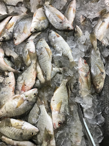 Grocery Store «Asia Grocery---华越», reviews and photos, 5444 Virginia Beach Blvd # 112, Virginia Beach, VA 23462, USA