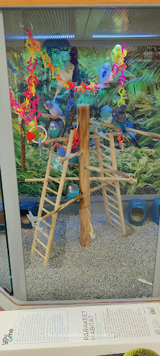 Pet Supply Store «Petco Animal Supplies», reviews and photos, 13691 Ridgedale Dr, Minnetonka, MN 55305, USA