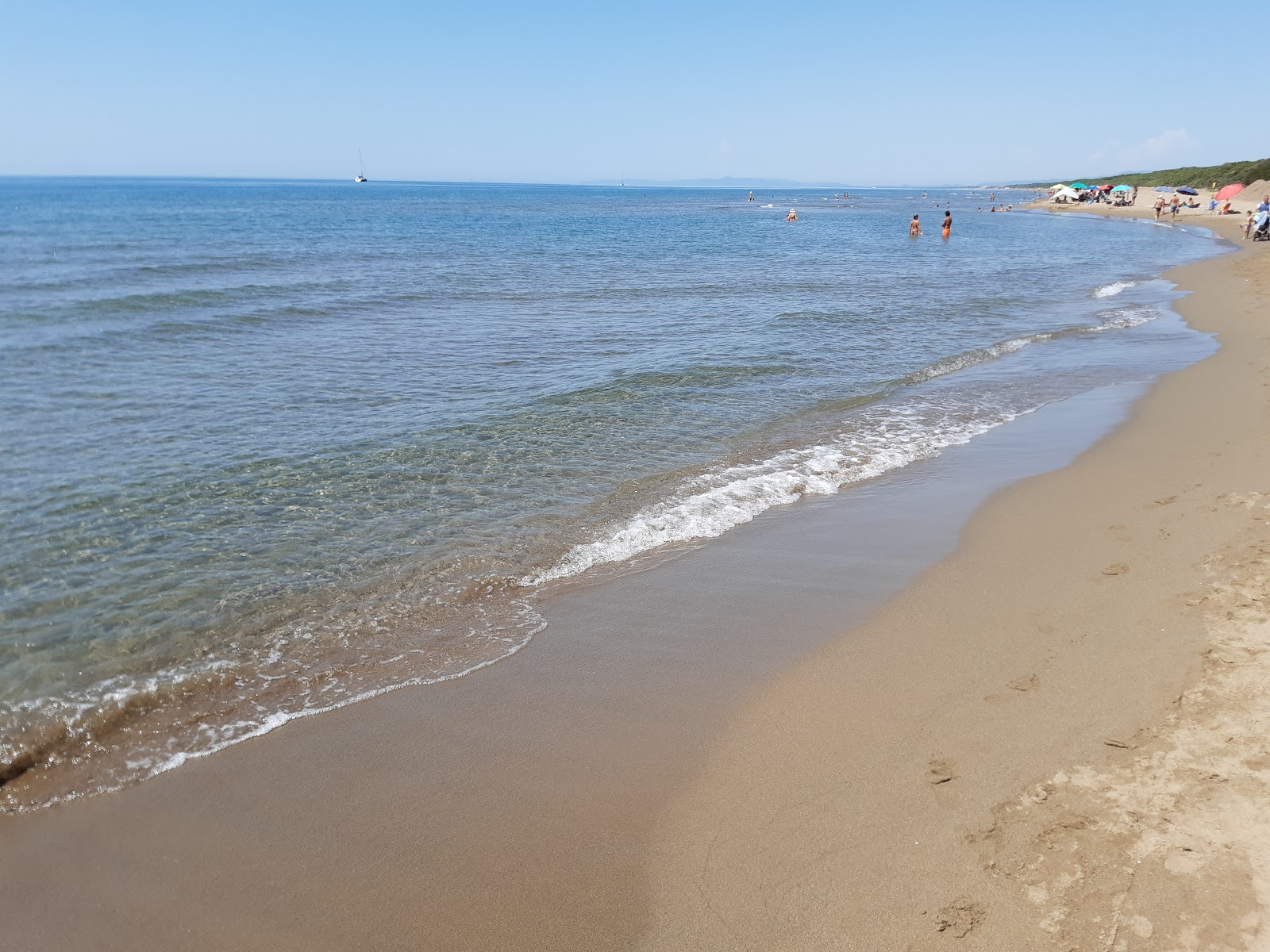 Foto di San Vincenzo Beach con una superficie del sabbia marrone