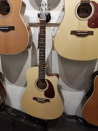 Reviews of DeGeorge Bros Guitars in Louisville - Musical store