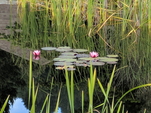 Golf Course «Ocean Dunes Golf Course», reviews and photos, 15 Onadoone Ct, Florence, OR 97439, USA