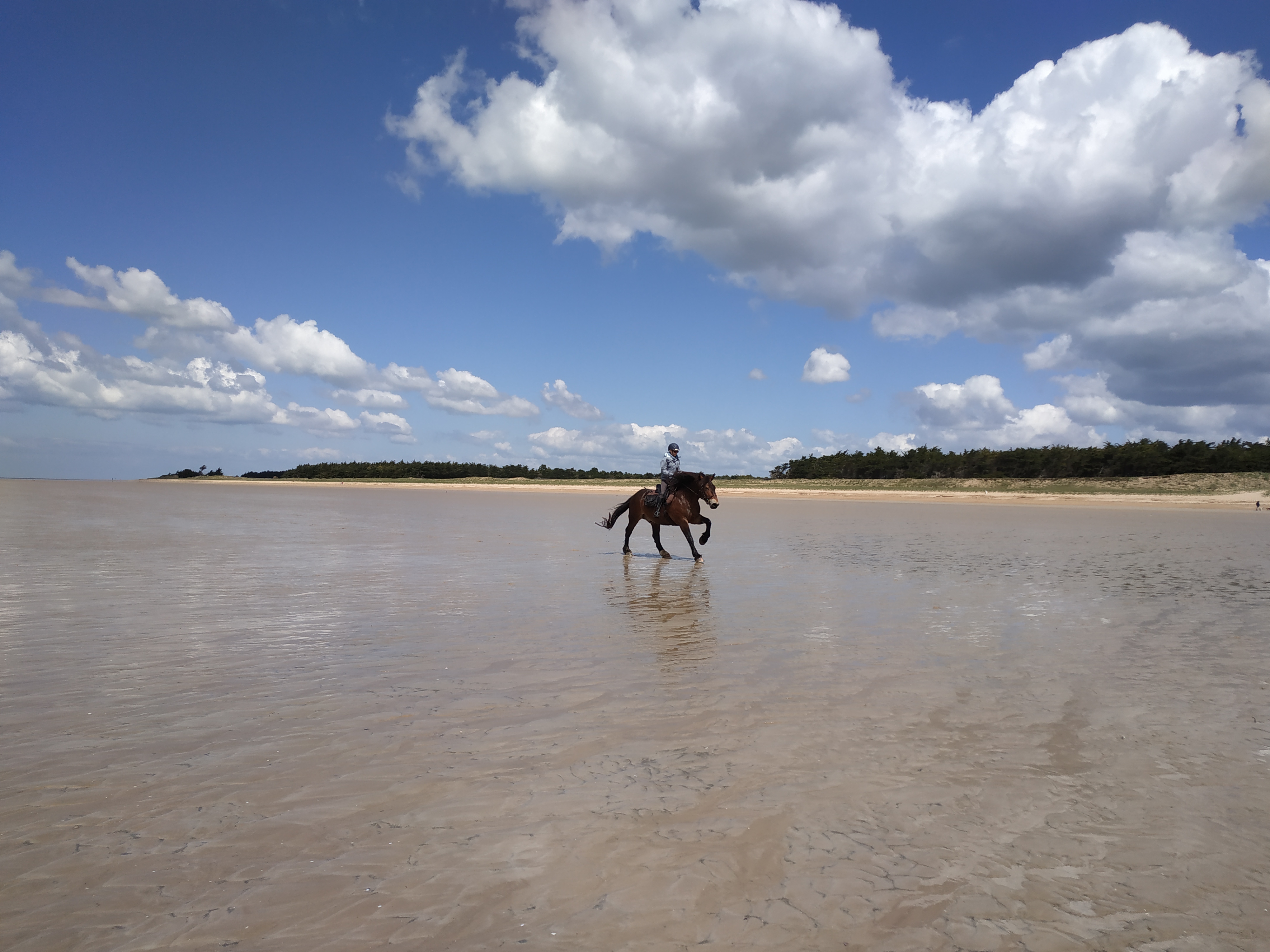 Photo n° 2 de l'avis de Stef. fait le 05/05/2019 à 12:59