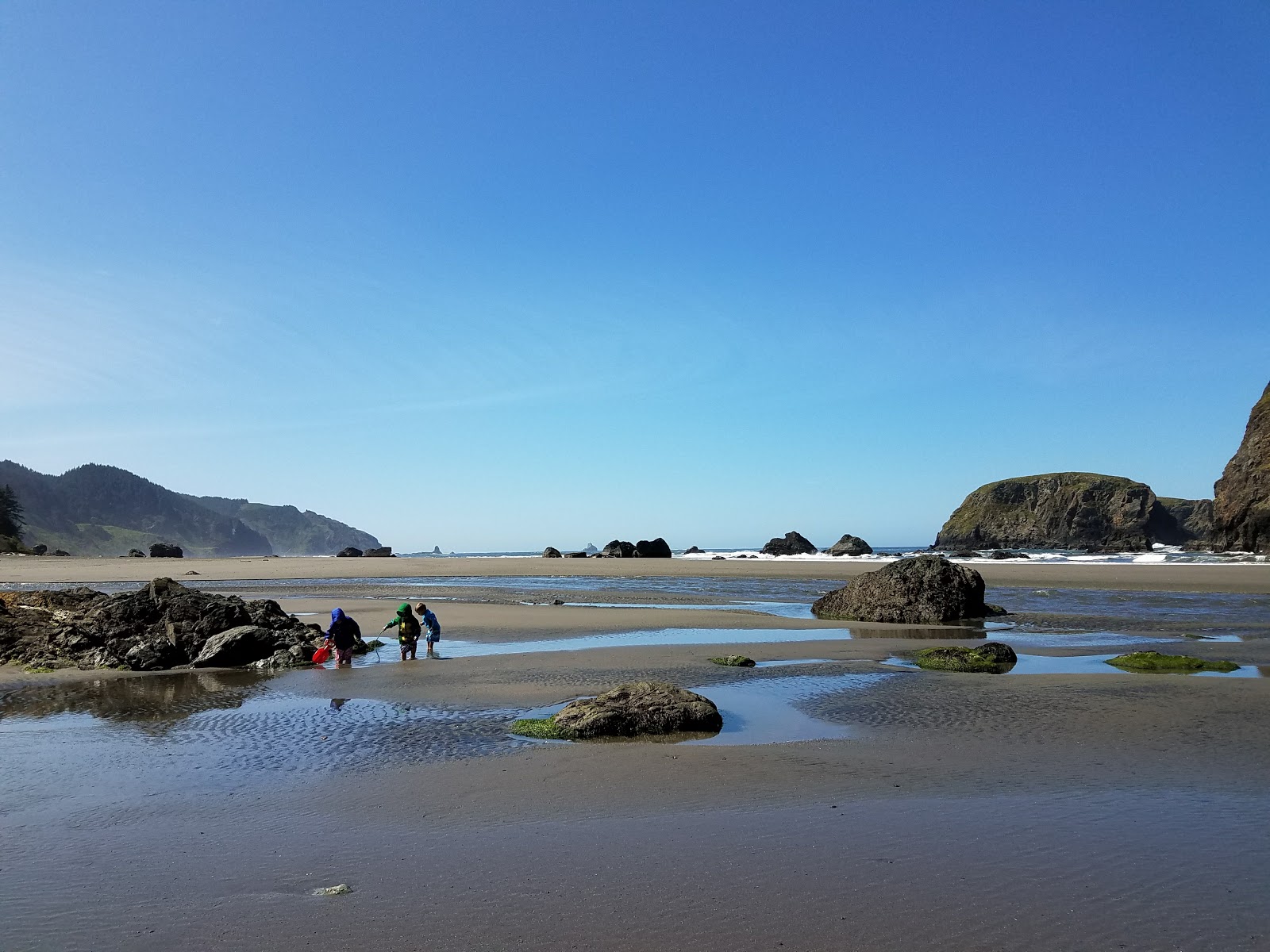 Fotografie cu Whaleshead Beach amplasat într-o zonă naturală