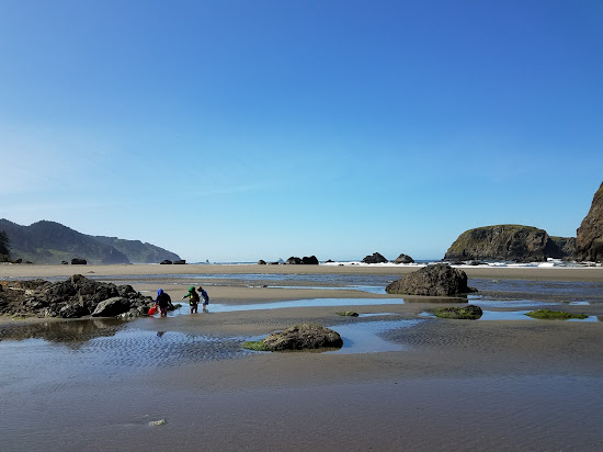 Whaleshead Beach