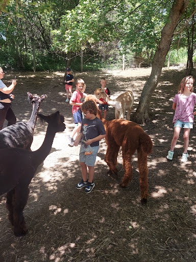 Boutique «Alpacas of the Heartland LLC», reviews and photos, 7016 County Rd 39, Fort Calhoun, NE 68023, USA