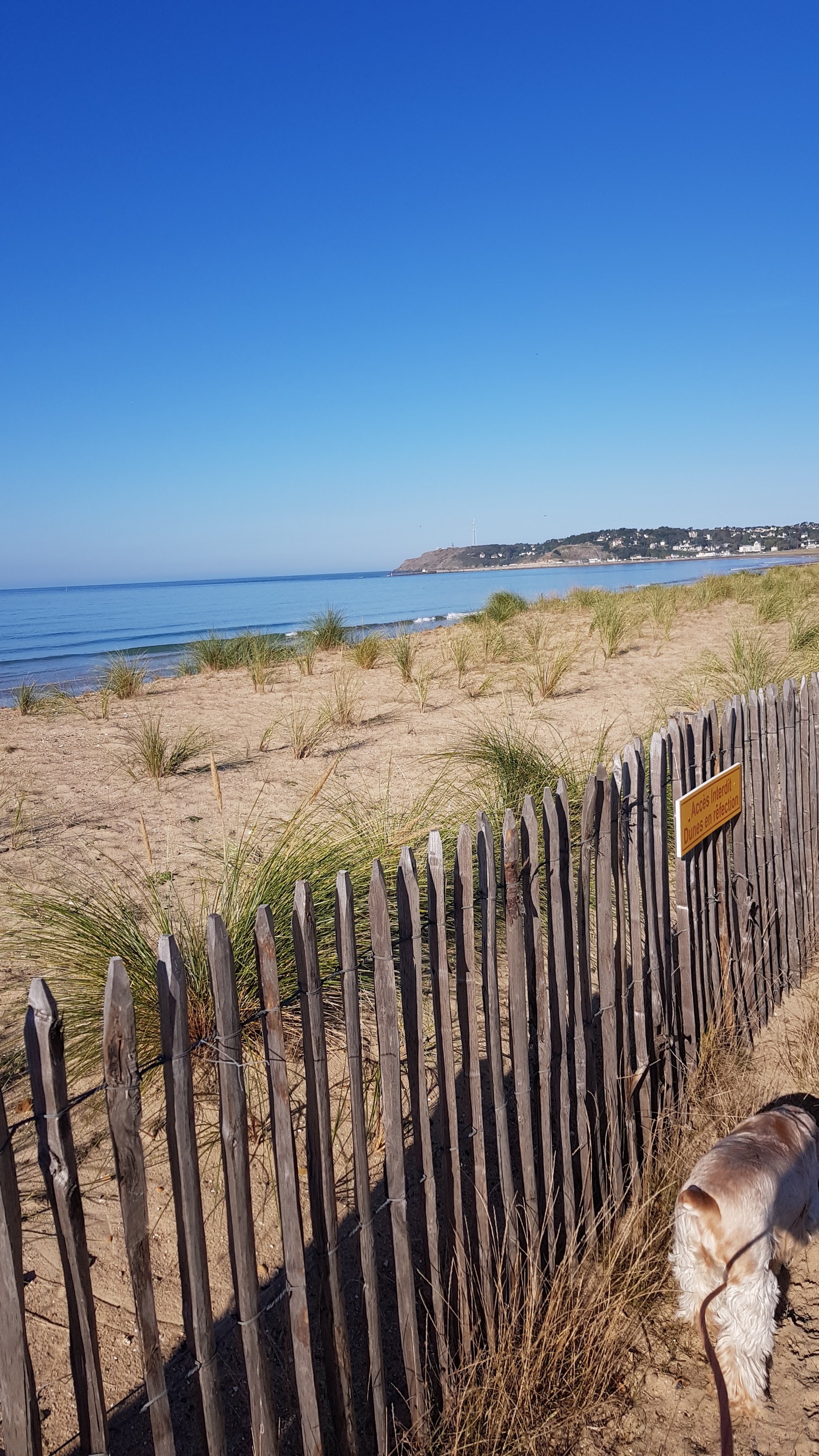 Photo n° 1 de l'avis de Bool2.� fait le 14/12/2018 à 08:29