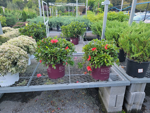 Home Improvement Store «The Home Depot», reviews and photos, 14000 Georgia Avenue, Aspen Hill, MD 20906, USA