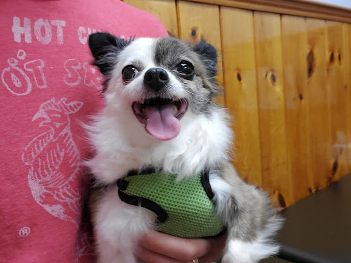 Framingham Animal Hospital