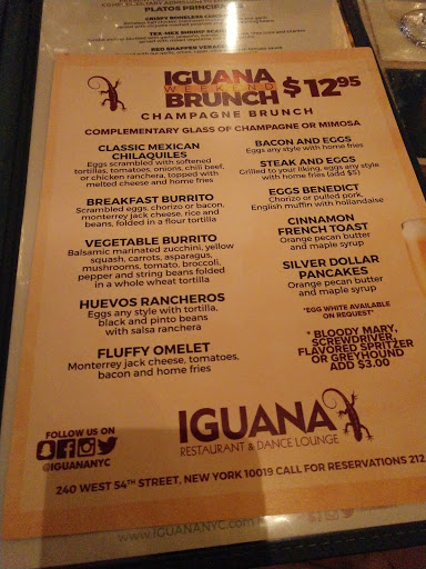 Tex-Mex Restaurant «Iguana New York», reviews and photos, 240 W 54th St, New York, NY 10019, USA