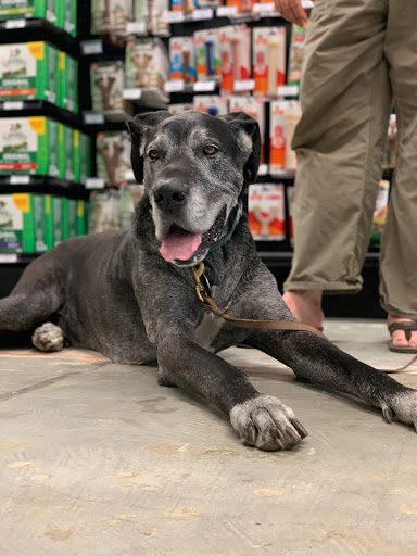 Pet Supply Store «The Wishbone Pet Company», reviews and photos, 1994 Freedom Blvd, Freedom, CA 95019, USA