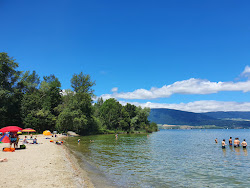 Foto von Plage de Goncerut mit geräumige küstenlinie