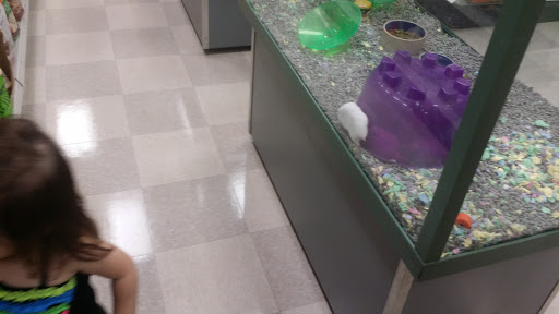 Pet Store «Petland Vineyard - San Antonio», reviews and photos, 1309 North Loop 1604 W #101, San Antonio, TX 78258, USA