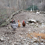 Photo n°2 de l'avis de luca.d fait le 17/03/2020 à 13:46 sur le  Agriturismo Valsirino à Lagonegro