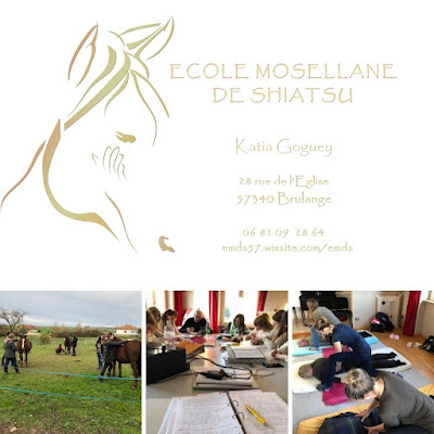 Ecole Mosellane de Shiatsu à Brulange