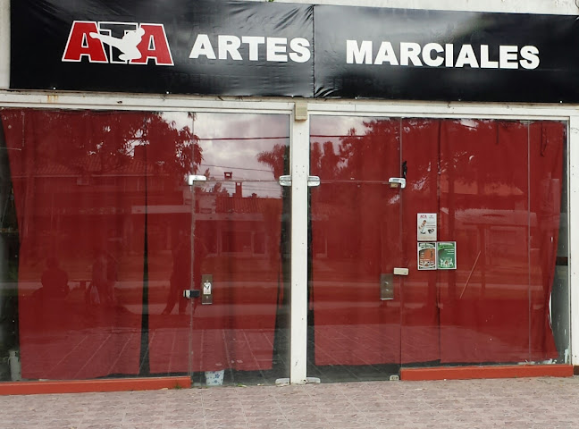 Opiniones de Escuela de Artes Marciales ATA en Canelones - Escuela
