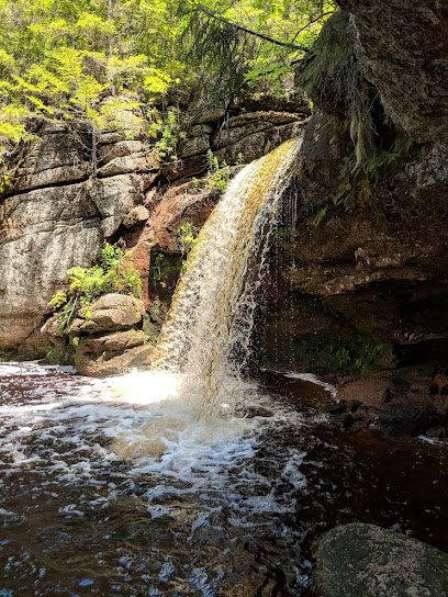 Sand Brook Falls Adventure Trail